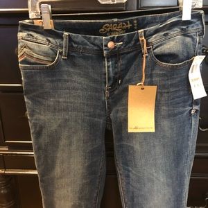 American Rag *Sarah* Jeans